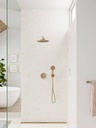 CROMA OVERHEAD SHOWER 280 1 JET ECOSMART BRUSHED GOLD
