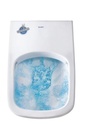 DURASTYLE TOILET WALL MOUNTED RIMLESS 37X62 DURAFIX INCLUDED