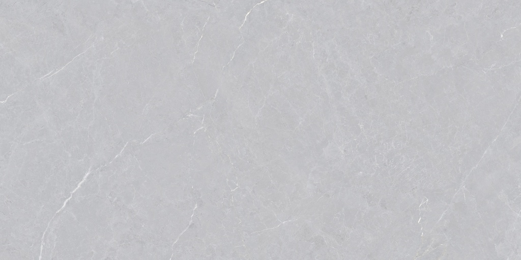 CALIBER GREY MATT 60X120