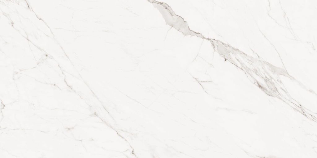 MAKARANA WHITE MATT 60X120