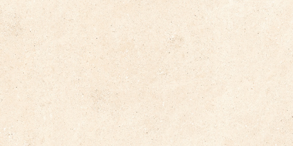 NEO BEIGE MATT 60X120