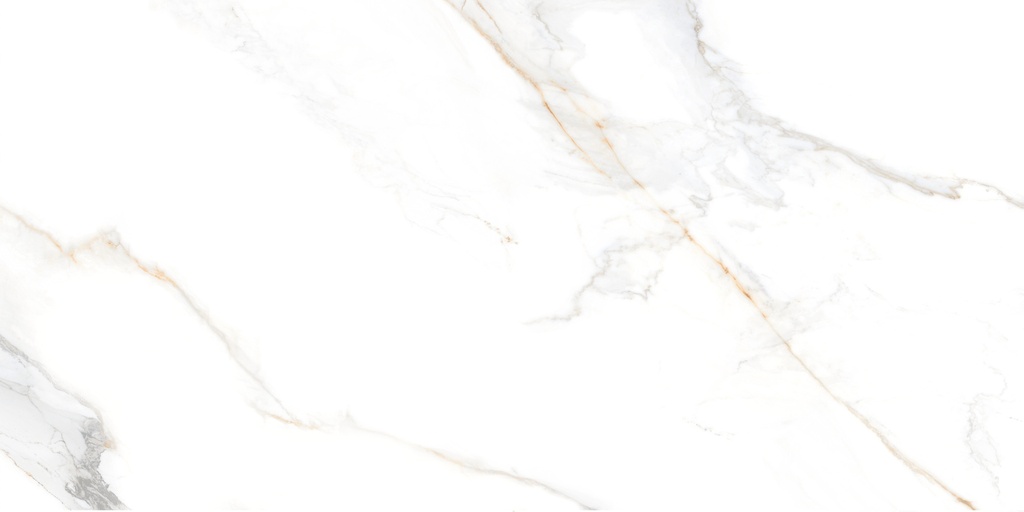 REGAL BELLEZA POLISHED 60X120