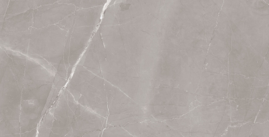 LIGHT GREY POLISHED 60X120