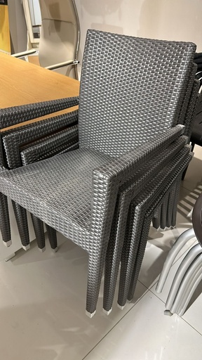 [2095F4DC] THE  OUTDOOR ARM CHAIR