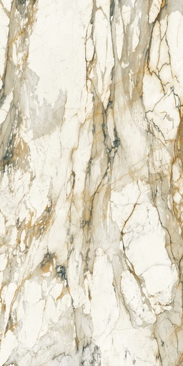 [NC294ID69] 160X320 MARMO ANTICO A UF LV 12MM