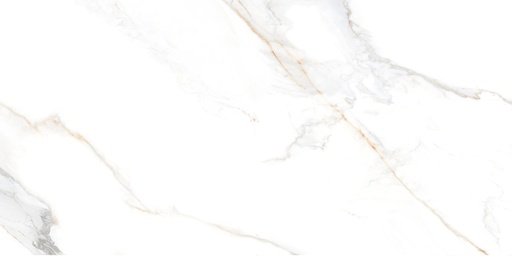 [EMCE09] REGAL BELLEZA POLISHED 60X120