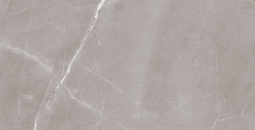 [EMCE11] LIGHT GREY POLISHED 60X120