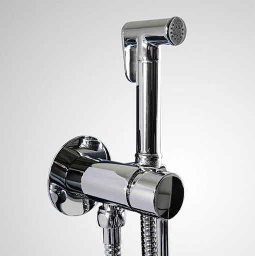 [70077.00] BIDETTE  HAND SHOWER  FOR MIXED WATER INCLUDING SHOWER HOLDER AND CONCEALD FITTING - CHROME