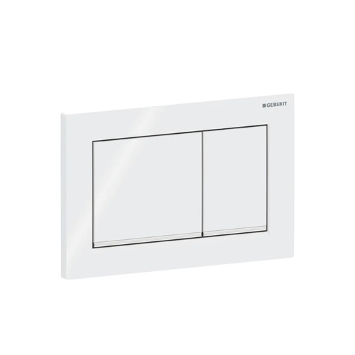 [115.080.KH.1] OMEGA 30 ACTUATOR PLATE FOR DUAL FLUSH WHITE